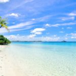 Beach - Landscape Photography of Trees on Shoreline