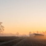 Sun-Safe - foggy sunrise over the country