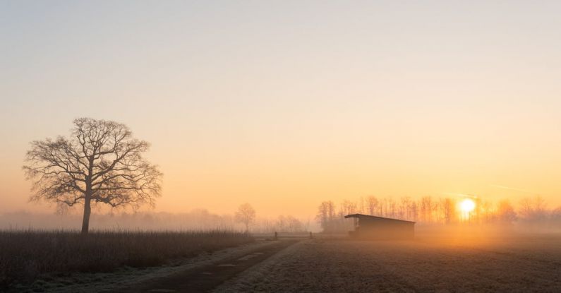 Sun-Safe - foggy sunrise over the country