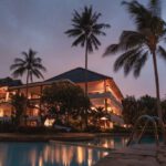 Resorts - Palm Trees at Night