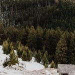 Mountain Photography - Brown Wooden House on Snow Covered Ground Near Green Pine Trees and Mountain