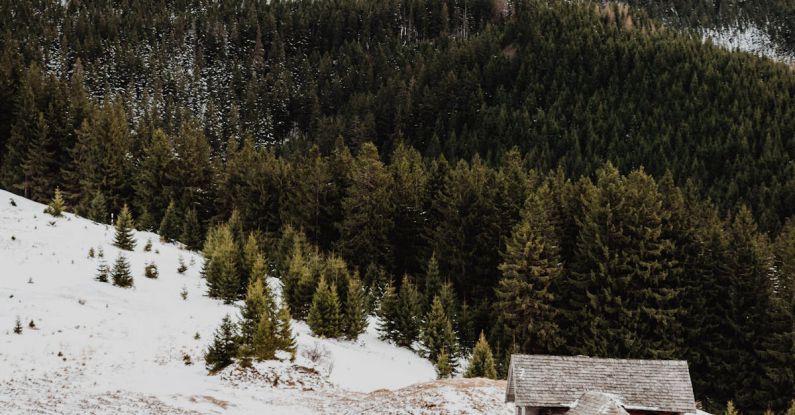 Mountain Photography - Brown Wooden House on Snow Covered Ground Near Green Pine Trees and Mountain