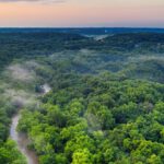 Amazon Rainforest - Green Forest