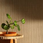 Money-Saving - A plant on a wooden stool in front of a window