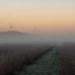 Sustainable Dining - morning fog over the country