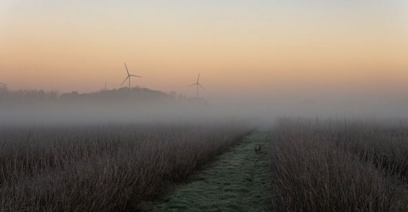 Sustainable Dining - morning fog over the country