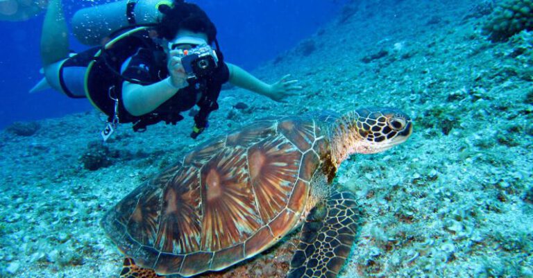 How to Stay Safe while Scuba Diving?